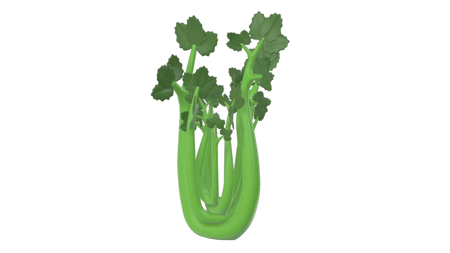 Celery 3D Graphic