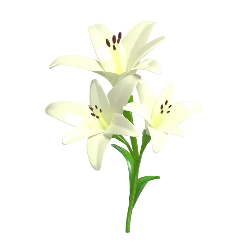 Modelo de flor de lírio branco 3D com três flores 3D Graphic