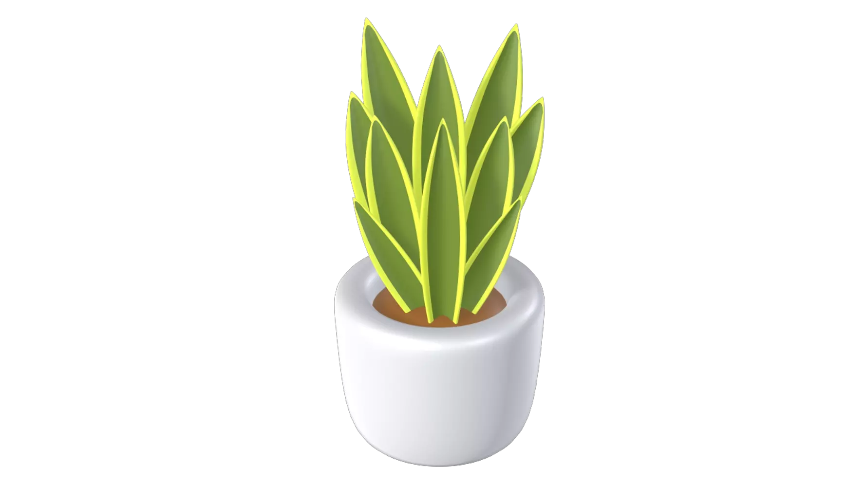 Snake Plant 3D Graphic