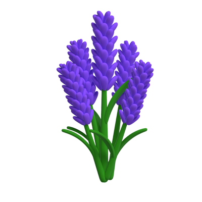 3D Lavender Flowers Model 3D Graphic