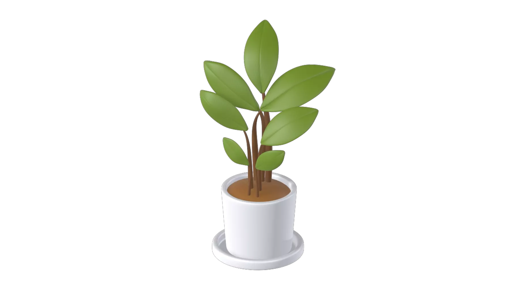 Money Tree Plant 3D Graphic