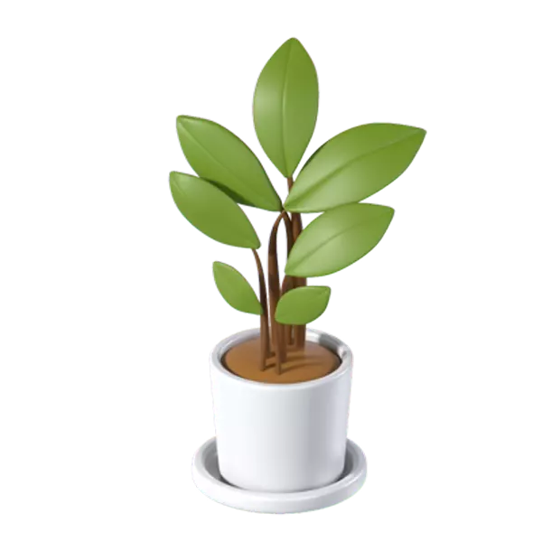 Money Tree Plant 3D Graphic