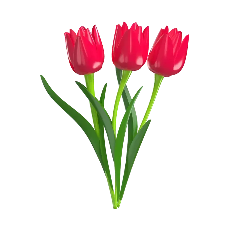 3D Pink Tulip Flower Model Three Blossoms