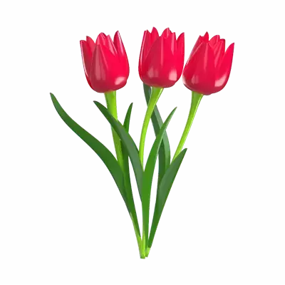 3D Pink Tulip Flower Model Three Blossoms 3D Graphic